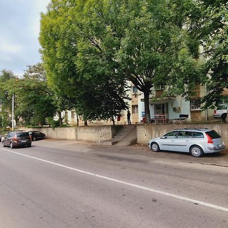 Veronica Studio Piatra Neamţ Dış mekan fotoğraf