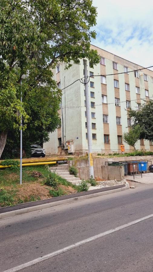 Veronica Studio Piatra Neamţ Dış mekan fotoğraf